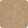 0637 Sahara