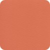 6146 Coral