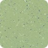 alpine_meadow-9708